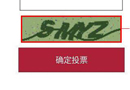 2015“中國(guó)木門十大品牌”網(wǎng)絡(luò)評(píng)選驗(yàn)證碼答疑