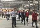 大自然木門江蘇抽查分?jǐn)?shù)最高