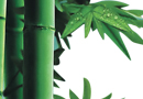 銷售該這樣打電話！！