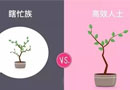 瞎忙，高效，這一年眼看就要結(jié)束了，你屬于哪種?