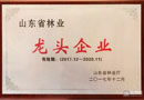 藝格云，2017年山東省林業(yè)龍頭企業(yè)，未來，我們在等你