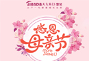 母親節(jié)感恩大回饋，天大衡水專賣店買木門贈(zèng)平開(kāi)門！