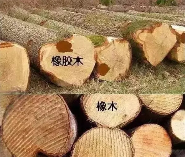 行業(yè)規(guī)范化建設(shè)