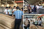 紫蘋果公司走進(jìn)金豐定制家居打造品牌企業(yè)強(qiáng)強(qiáng)聯(lián)合