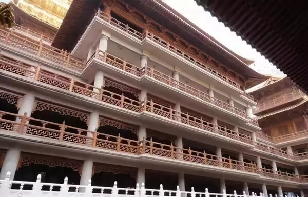 嘉禾定智：號稱“萬木之王，千年不腐”的竟是它！