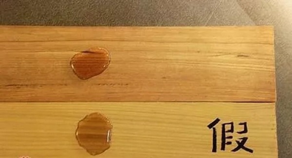 嘉禾定智：號稱“萬木之王，千年不腐”的竟是它！
