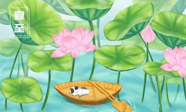 嘉禾定智：夏天這樣裝修，包你的家透心涼