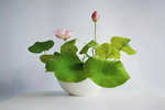 喬金斯整木定制：夏至將至，不負(fù)時(shí)光不負(fù)己