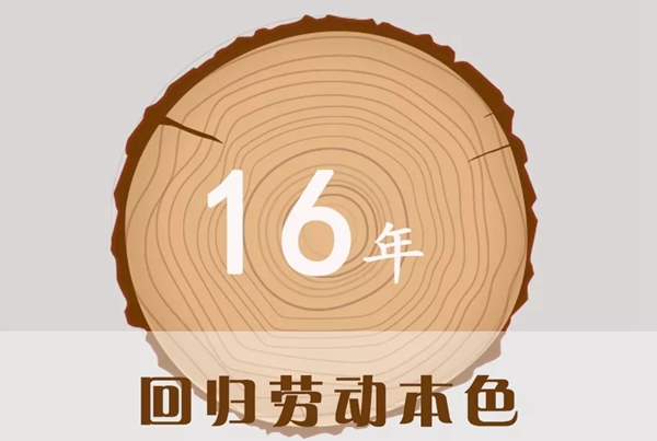 嘉禾定智：16年風(fēng)風(fēng)雨雨，回歸勞動本色！