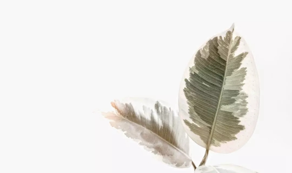名雅居木門為您解鎖生活的N種可能性！