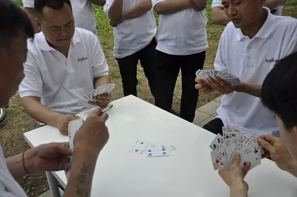 美固門窗2019春游團建活動圓滿結束，不負芳華不負卿！