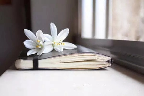 名雅居木門(mén)：試問(wèn)，人的一生要經(jīng)歷多少扇門(mén)？