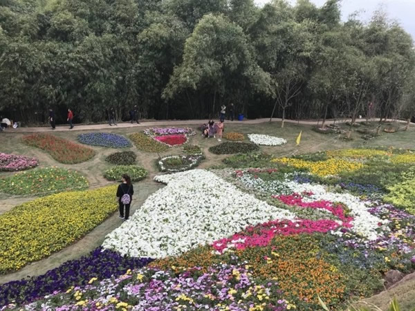 宜居木門“春回大地 走馬觀花”2019員工生日會(huì)圓滿落幕！