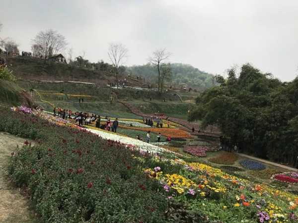 宜居木門“春回大地 走馬觀花”2019員工生日會(huì)圓滿落幕！