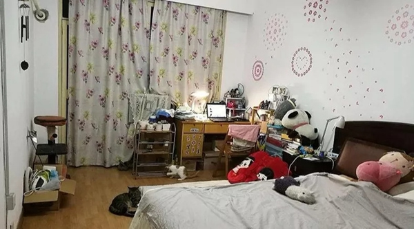 展志天華全屋定制是首選，避免家裝走彎路！