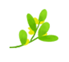 佰葉薈全屋定制讓源于大自然的家居走進(jìn)你的家！