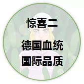 品橋T型木門315爆款特價活動火爆開啟！