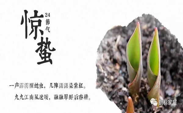 驚雷起 萬(wàn)物醒 朗標(biāo)家居的春天！