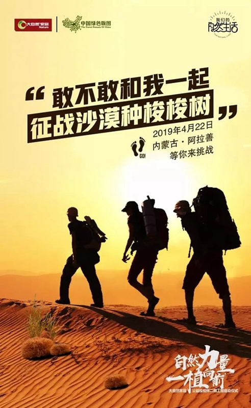 大自然家居：敢與我一起征戰(zhàn)沙漠種梭梭樹嗎？