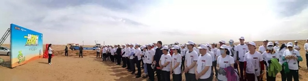 大自然家居：敢與我一起征戰(zhàn)沙漠種梭梭樹嗎？