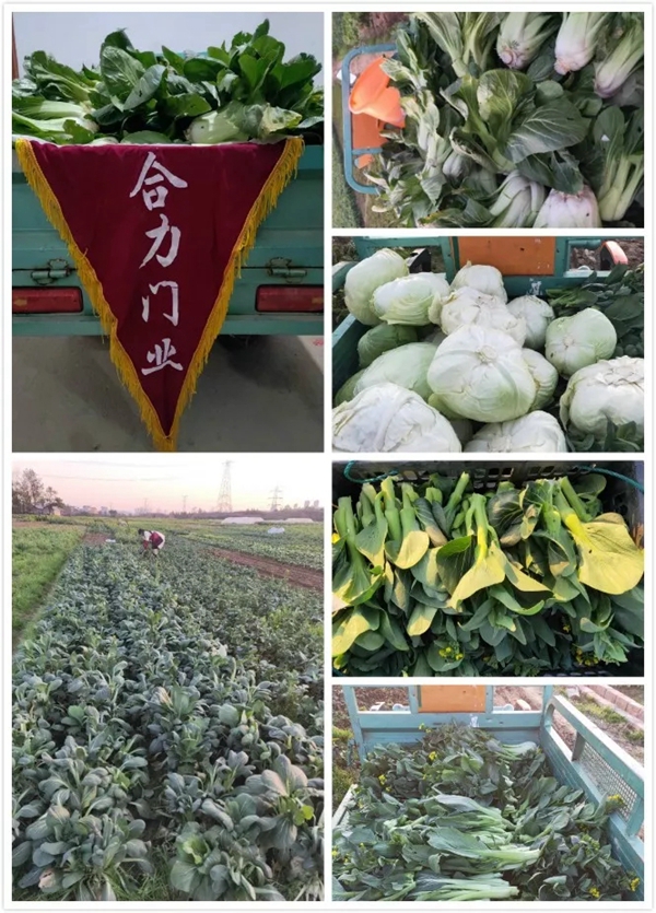 合力門業(yè)：疫情之下，合力經(jīng)銷商有態(tài)度，有溫暖，有故事