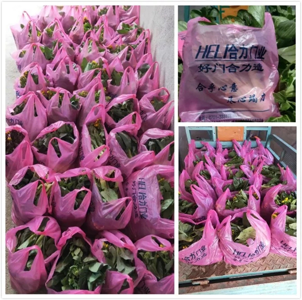 合力門業(yè)：疫情之下，合力經(jīng)銷商有態(tài)度，有溫暖，有故事