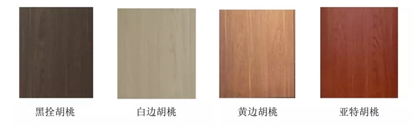 新標木門：回顧2019，展望2020