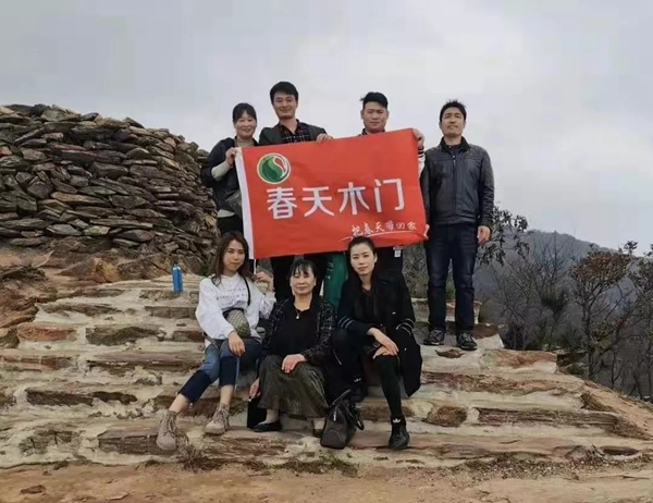春天木門2019年12月全國(guó)銷售十強(qiáng)