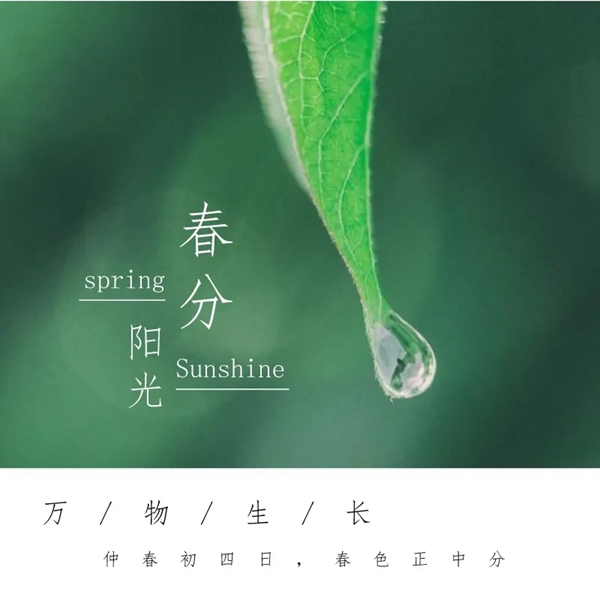 尚品正德木門：春分時節(jié) 莫負(fù)好春光