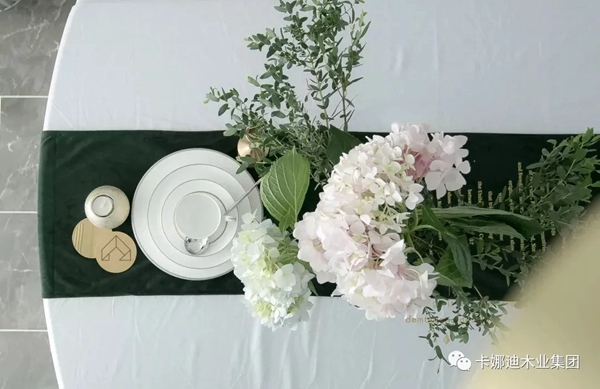 卡娜迪木門：輕奢北歐營造輕盈浪漫的小資情調(diào)
