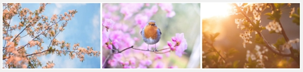 豪邁木門：機(jī)會(huì)永遠(yuǎn)是留給有準(zhǔn)備的人