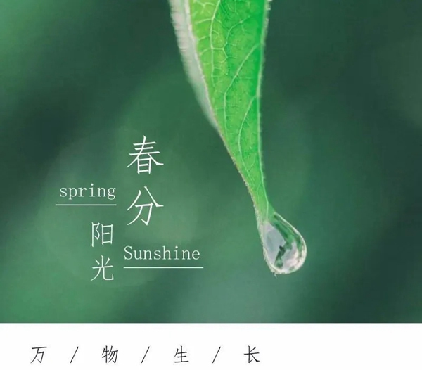 希格瑪木門(mén)：春色如許，不負(fù)韶光