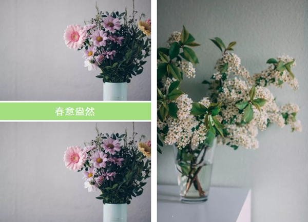 希格瑪木門(mén)：春色如許，不負(fù)韶光