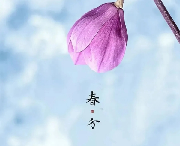 義元榮尚木門(mén)：倚靠門(mén)邊安心靜賞 滿園春色便觸手可及