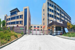 科派木門(mén)|自成一派者絕非等閑之輩，最少是個(gè)上市企業(yè)