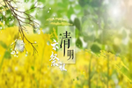 精武之帝木門：清明踏春，文明緬懷（內(nèi)附放假通知）