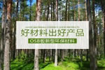 豪邁木門國內(nèi)首創(chuàng)OSB板新型環(huán)保門套材料