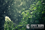 梅雨季節(jié)到來，您家木門防潮工作準(zhǔn)備好了么？