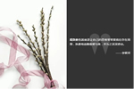 豪邁木門：你與精致生活的距離，還差一個(gè)TA