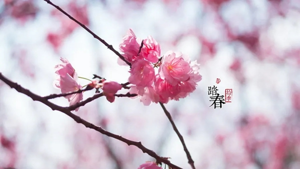 雅帝樂門業(yè)線上直播工廠直購會(huì)，億元紅包等你拿！