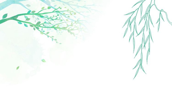 林邦整木定制：不負春光，不負夢想