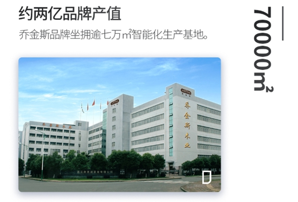 喬金斯【私享家】|2億市值，飛入尋常百姓家