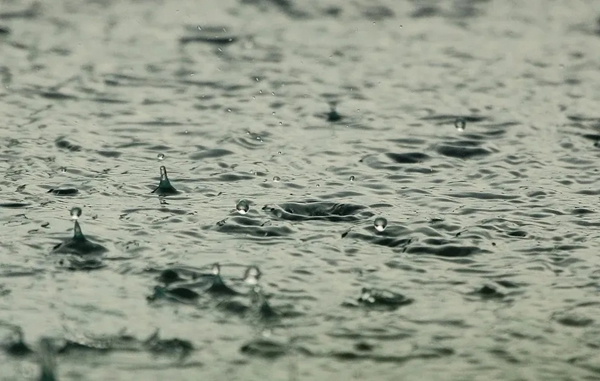 兔寶寶木門(mén)：梅雨季節(jié)，木門(mén)的養(yǎng)護(hù)性預(yù)防方法