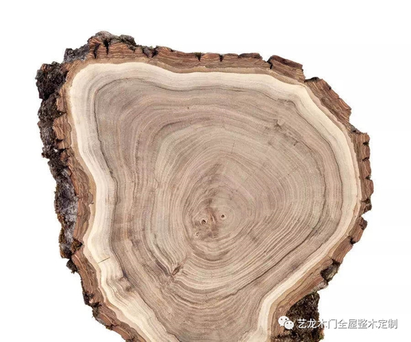 藝龍木門·整木定制：這些木材你都了解嗎？