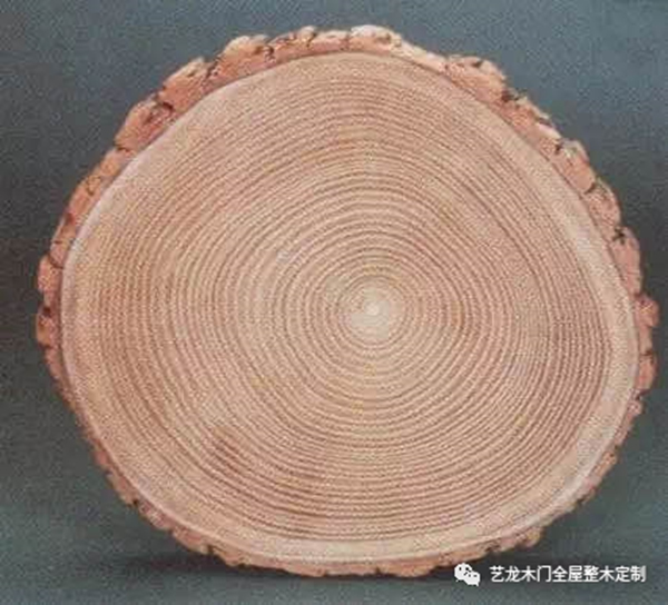 藝龍木門·整木定制：這些木材你都了解嗎？