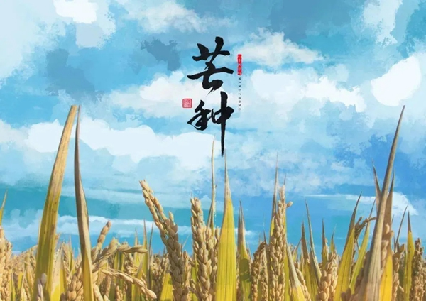 鑫迪木門：為愛奔芒，辛勞耕種！