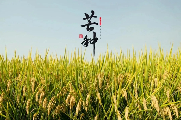 鑫迪木門：為愛奔芒，辛勞耕種！