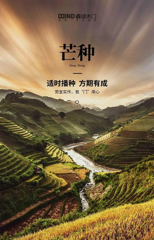 鑫迪木門：為愛奔芒，辛勞耕種！