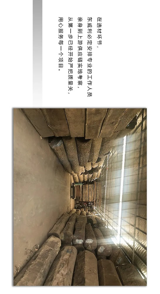 走進(jìn)東威利整裝，探尋緬甸花梨