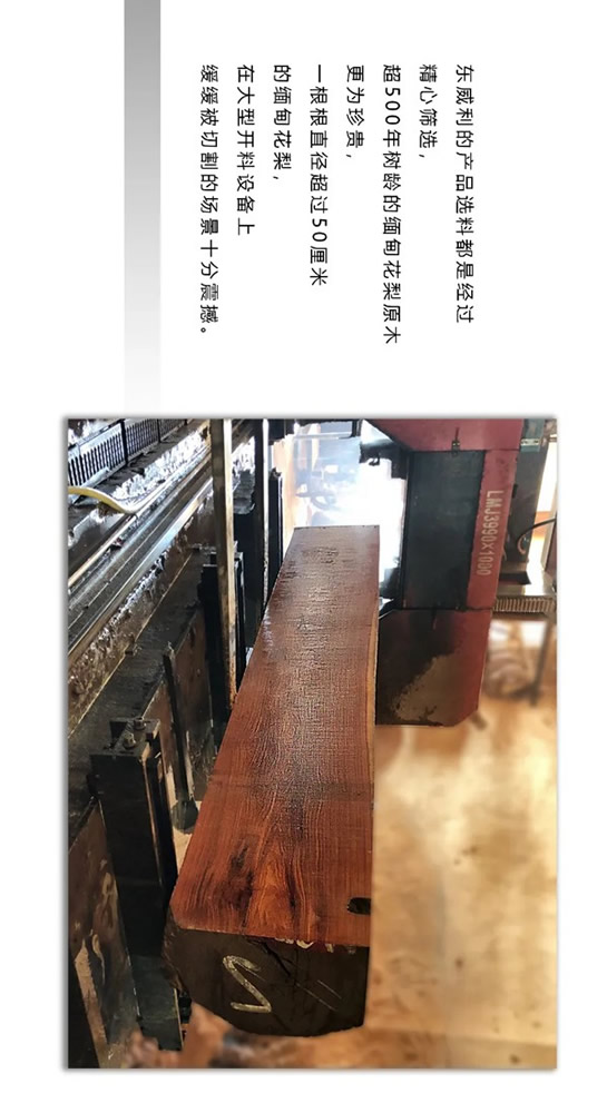 走進(jìn)東威利整裝，探尋緬甸花梨